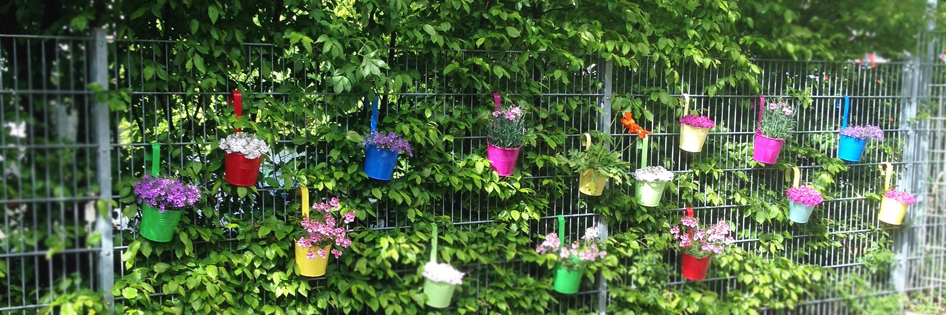 Turnseeschule Schulgarten