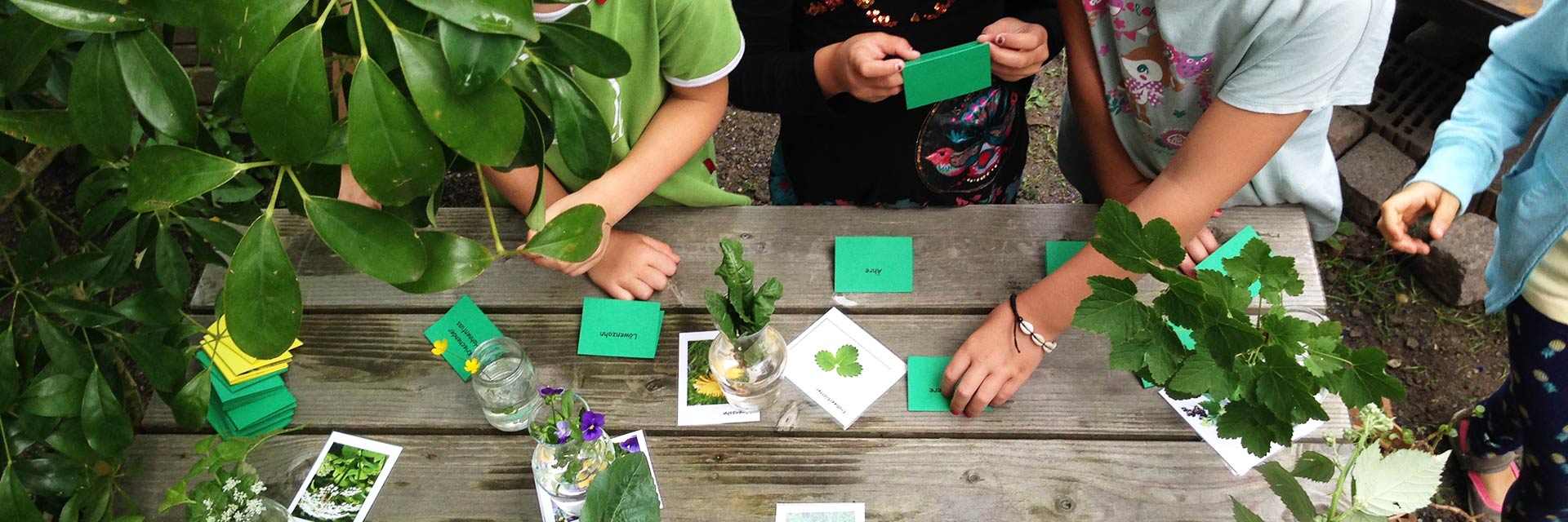 Turnseeschule Schulgarten